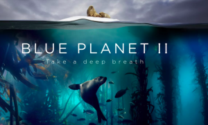 The Blue Planet II programme brought the environmental issue very much into focus for everyone.