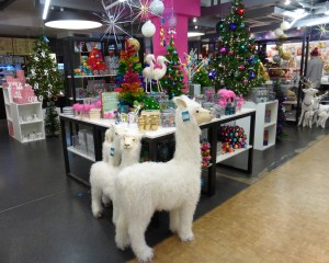 The llamas in the Paperchase Tottenham Court Road seem unperturbed by the furore.