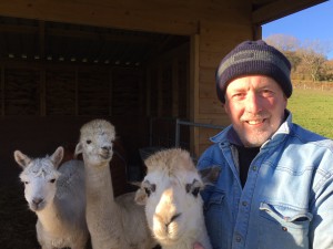 Paul Haines, consultant to CBG, with some of his real life All Creatures alpacas!