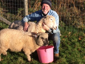 On course to own a flock of 100 sheep in 2018, the plush sheep character in the All Creatures range is Paul’s personal favourite.