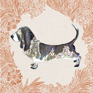 An Animal Kingdom design by Josie Shenoy from The Art File.