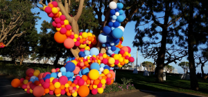 There were balloons everywhere at the fifth World Balloon Convention.