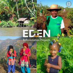 1 Tree Cards is working with the Eden Reforestation Project, whereby for every card sold the charity will plant a tree