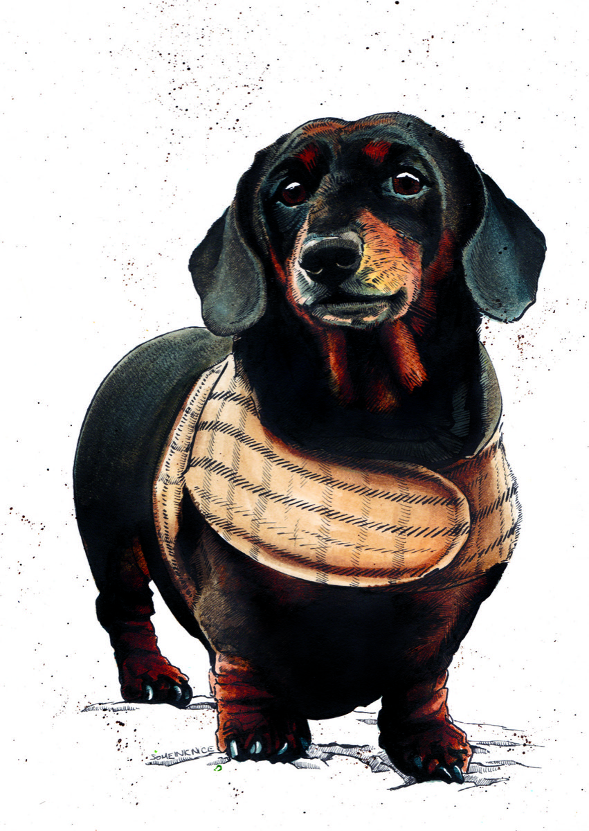 Above: Arthur the dachshund on a Some Nice Ink design.