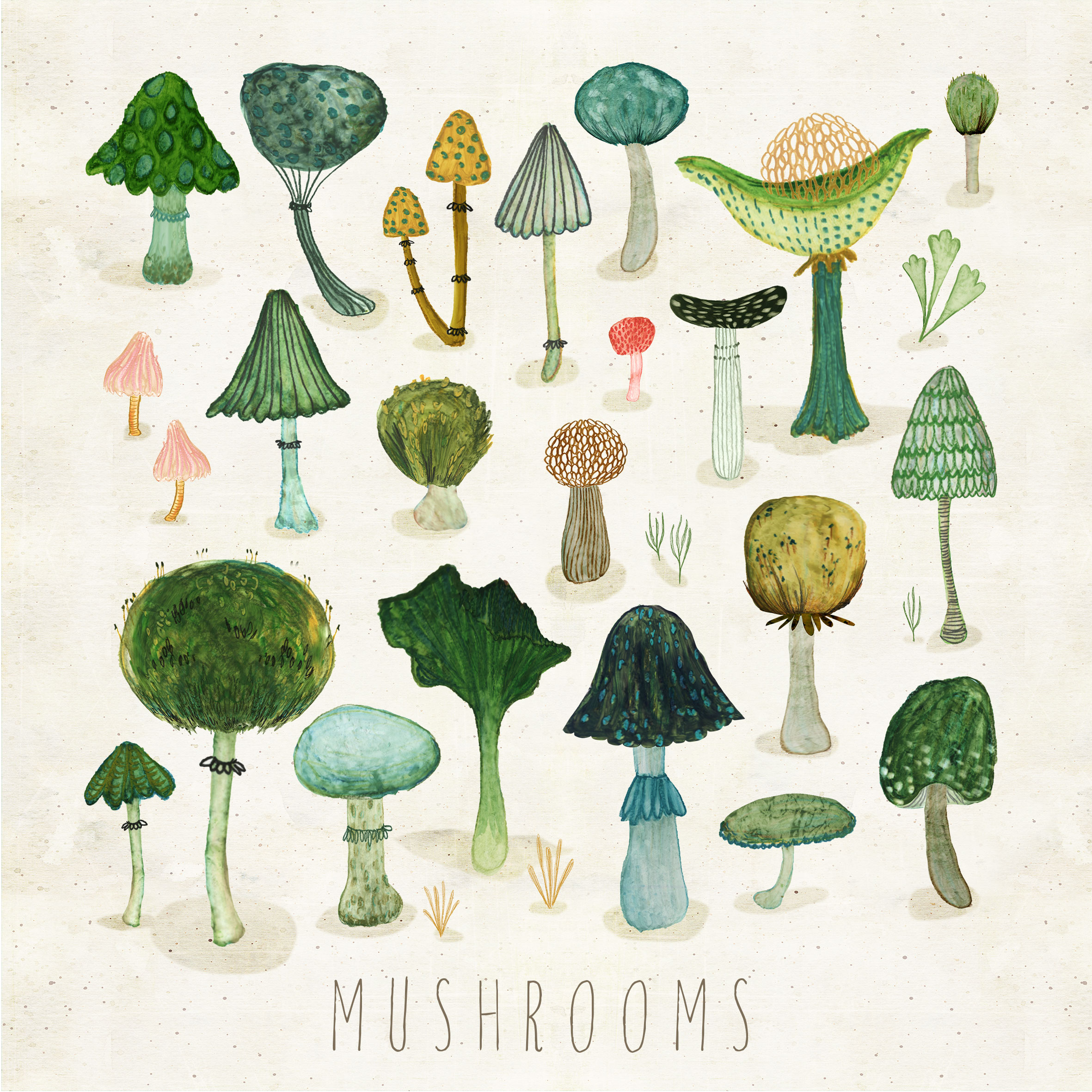 Above: © Mushrooms by Katherine Quinn courtesy of Jehane Ltd.