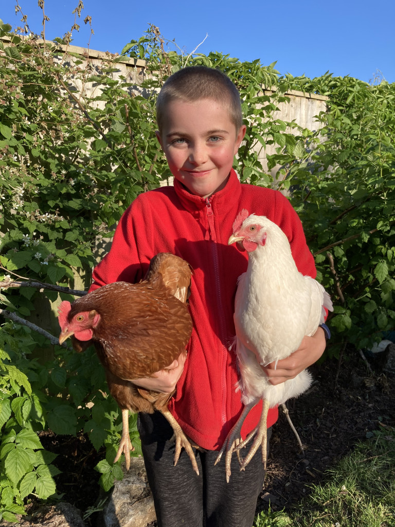 Above: Sue and Scott’s son Ollie with the chickens.