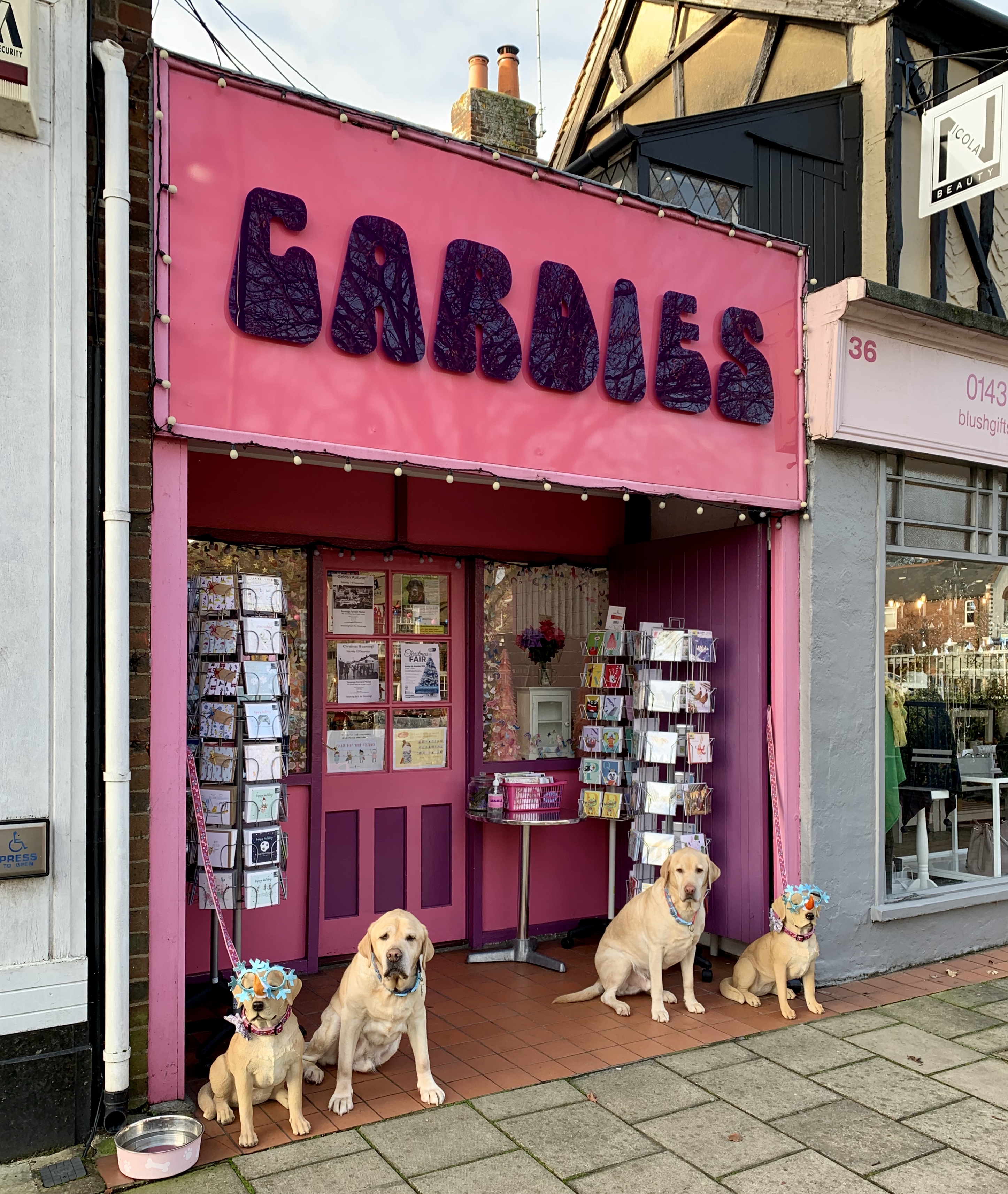 Above: Cardies was ready with a woof or two to keep its December sales on a par with 2019.