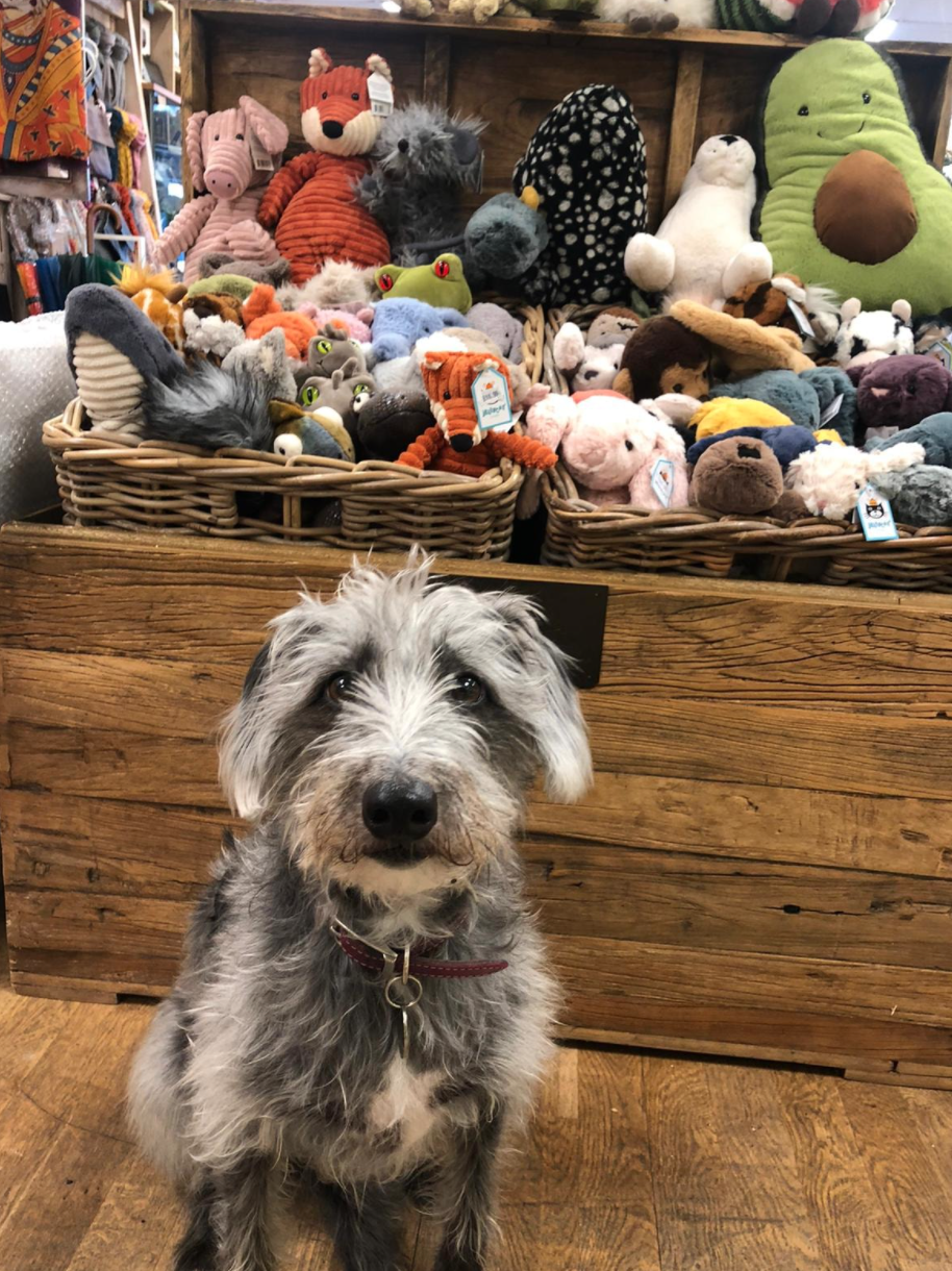 Above: The Indigo Tree’s best shop assistant, Doris was ready to welcome customers!