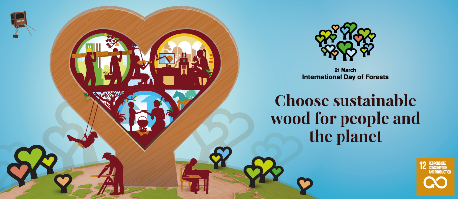 Above: Wooden it be lovely – sustainability is the theme of 2022 International Day Of Forests