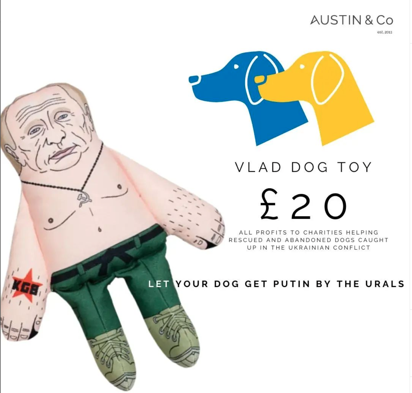 Above: Austin & Co in Malvern raised money for Ukraine by selling Putin dog toys