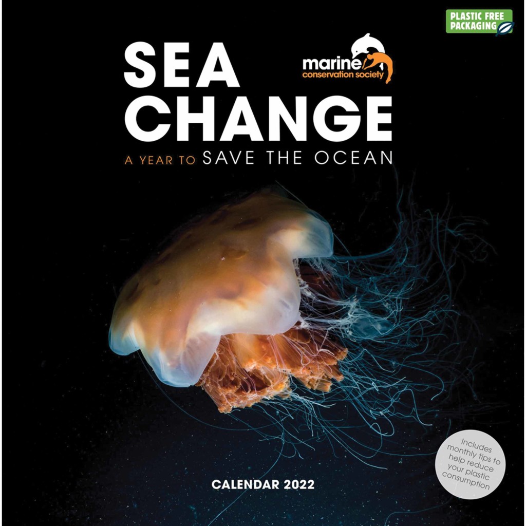 Above: Sustainable society – Carousel Calendars’ Sea Change calendar