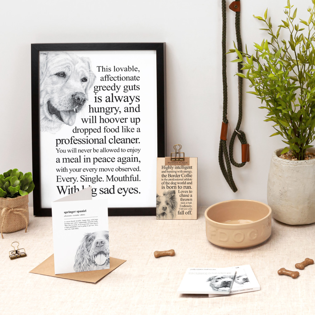 Above: Products in Coulson Macleod’s new Pooch range