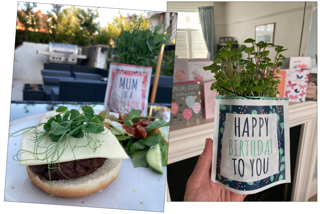 Above: Shroot’s Greens & Greetings cards are sustainable and delicious
