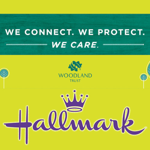 Hallmark woodland Feature image
