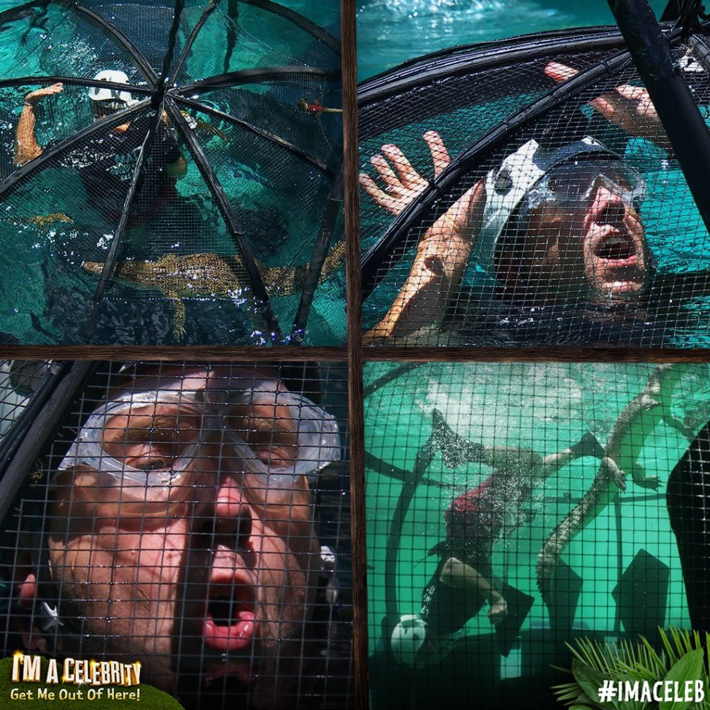Above: The MP in trial action on I’m A Celebrity…