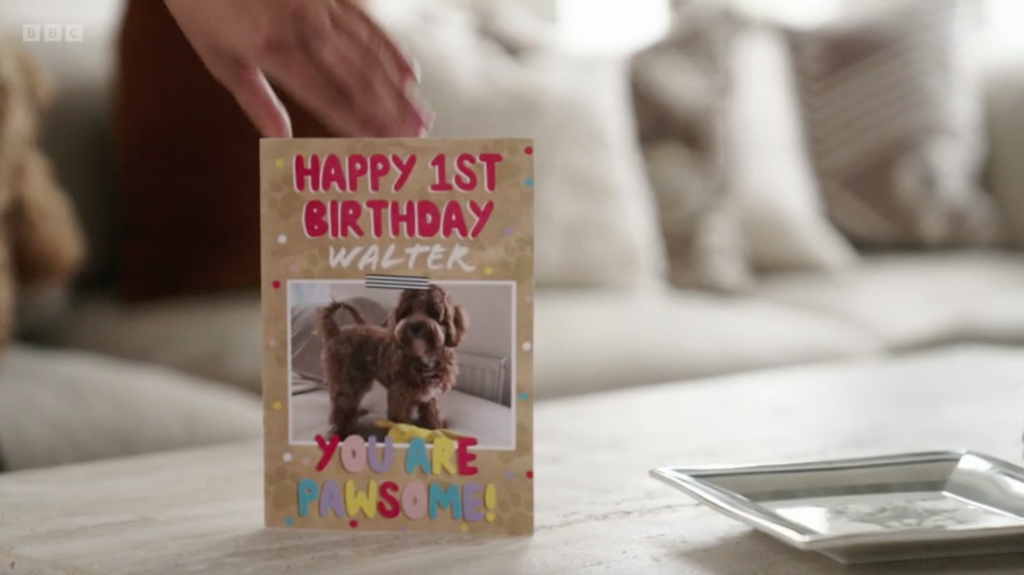 Above: Walter’s card is the first of the new pet range