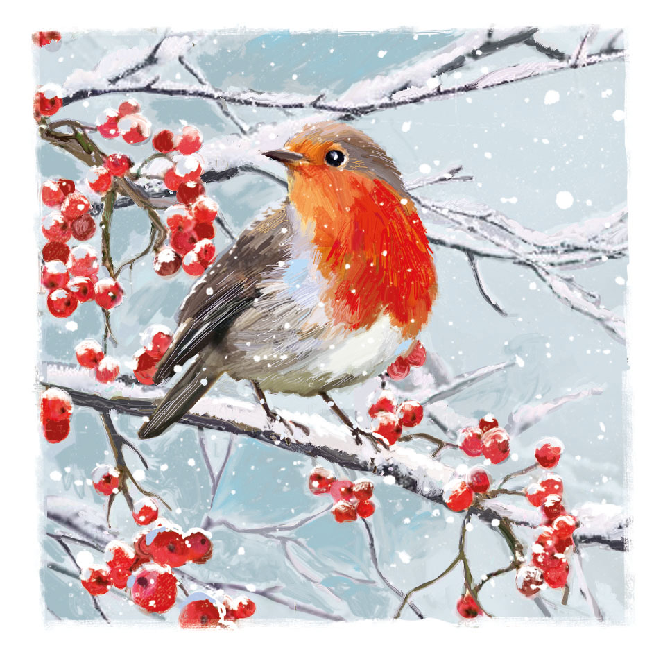 Above: For all the new subject matters, the robin still sings sweetly on Christmas cards, as Ling’s new design testifies