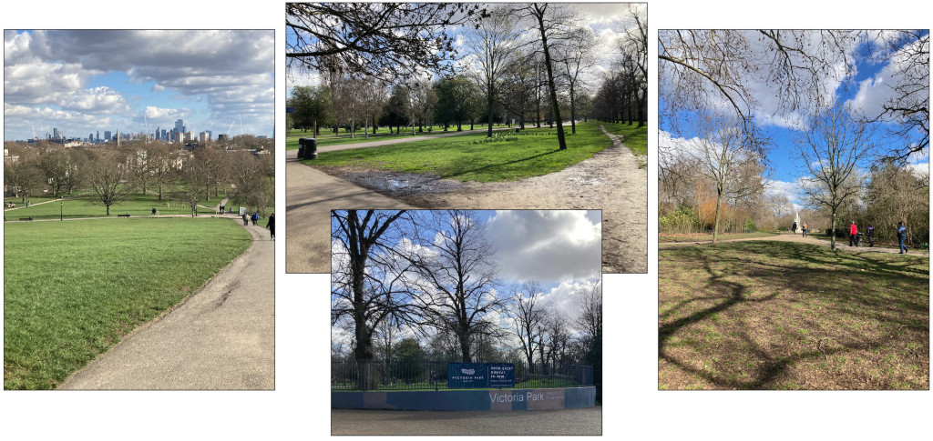 Above: The walk will take in Primrose Hill, Victoria Park and Regents Park