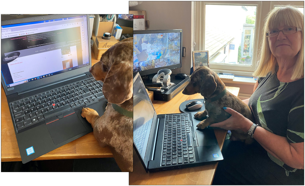 Above & top: Judging is a serious business for In Heaven At Home’s Anne Barber and Henry the dachshund. Anne said: “We loved all the colour and diversity, I thoroughly enjoyed doing it – and Henry took his responsibility very seriously!”