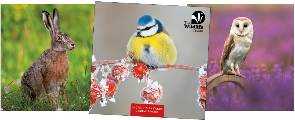 Above: The latest Wildlife Trusts collection will be launched at Autumn Fair