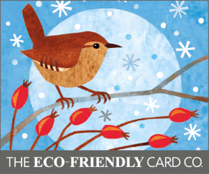 Eco Cards