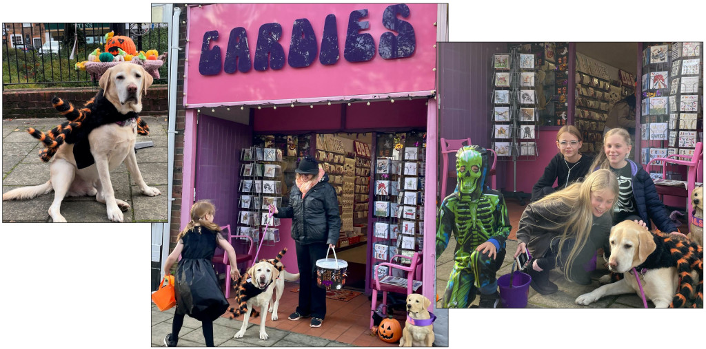 Above: StrawB Spider loved meeting all the ghoulies at Cardies 