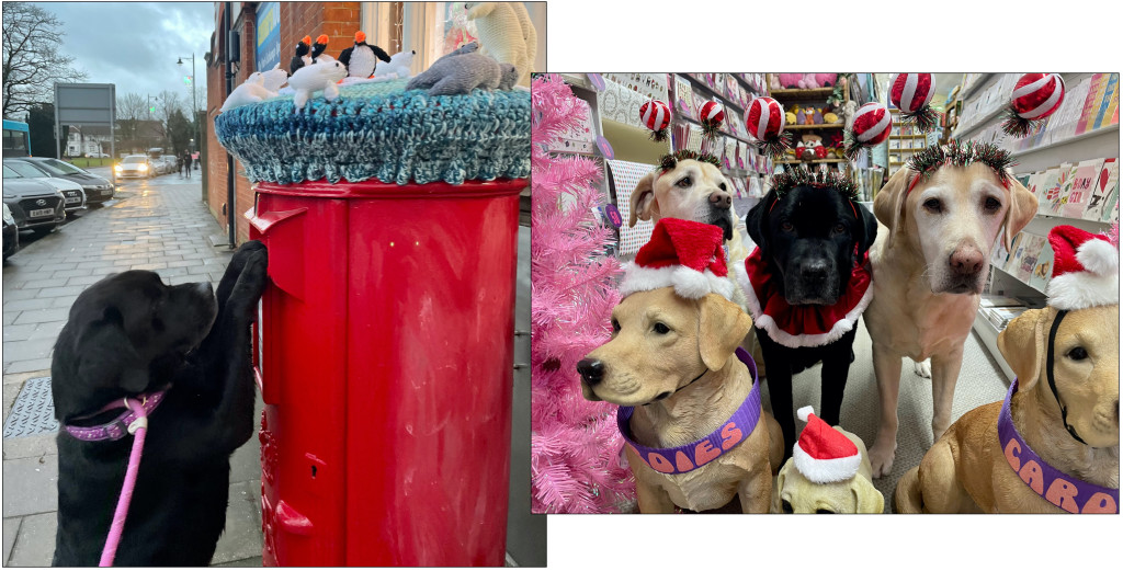 Above: Little Ted posting out his charity-giving, smile-bringing, love-sending Christmas cards as Cardies’ Ponks squad joined in the festive spirit