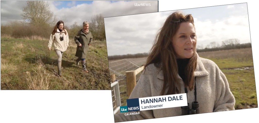 Above: Hannah Dale showed ITV’s Lisa Adlam around the rewilded family farm